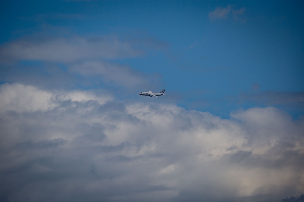 Antonov Delivers Tigers