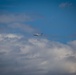 Antonov Delivers Tigers