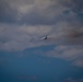 Antonov Delivers Tigers