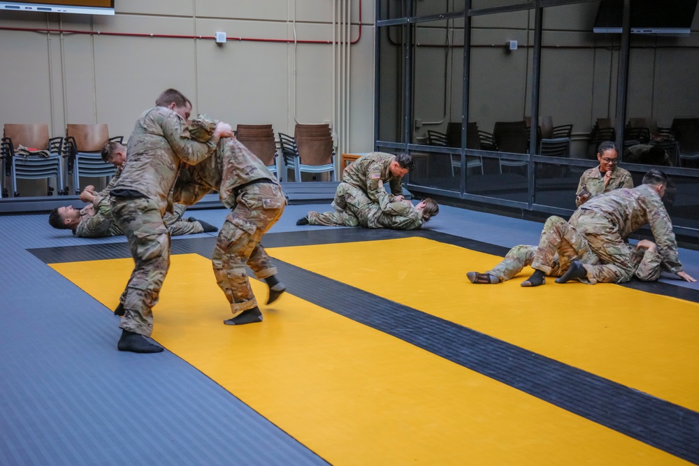 BACH Soldiers conduct Modern Army Combatives training