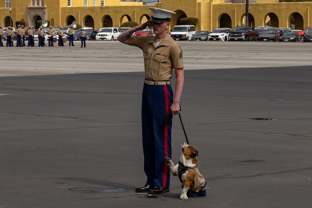 Charlie Company Graduation