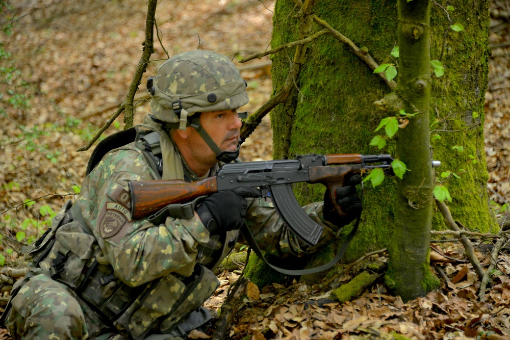 1st CIMIC Battalion Soldiers Participate In Combined Resolve 18