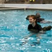 Guardsmen conducting Combat Water Survival Training