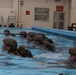Sink or Swim: 31st MEU Water Competency Evaluation