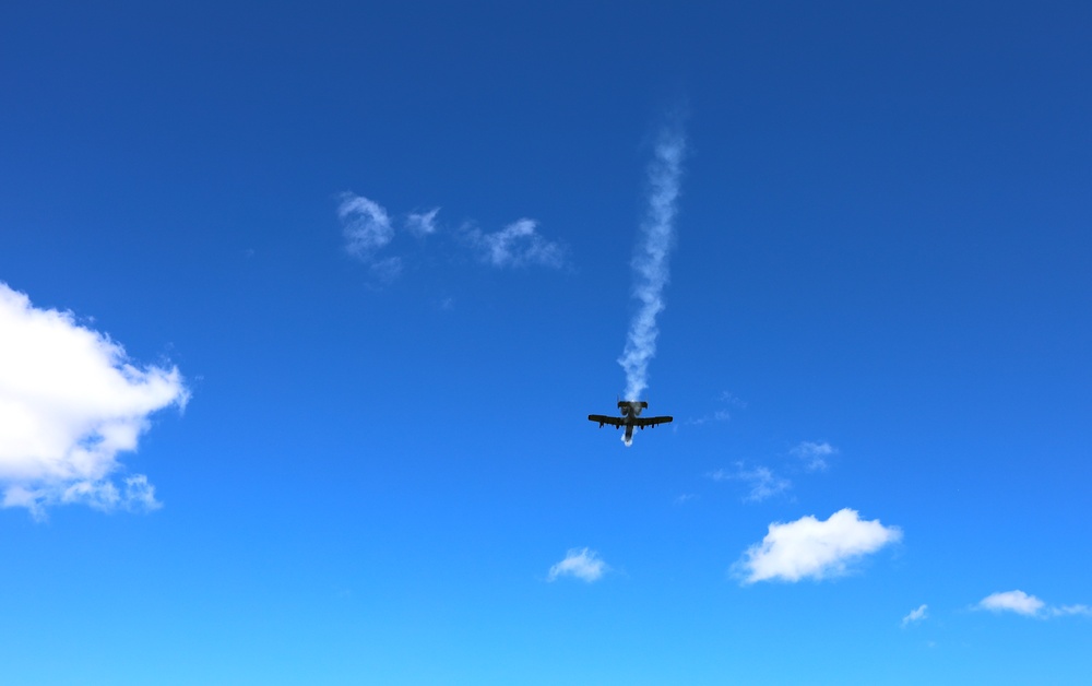 A-10 Thunderbolt II Training