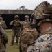 Marines with 31st MEU landing team conduct live-fire exercises