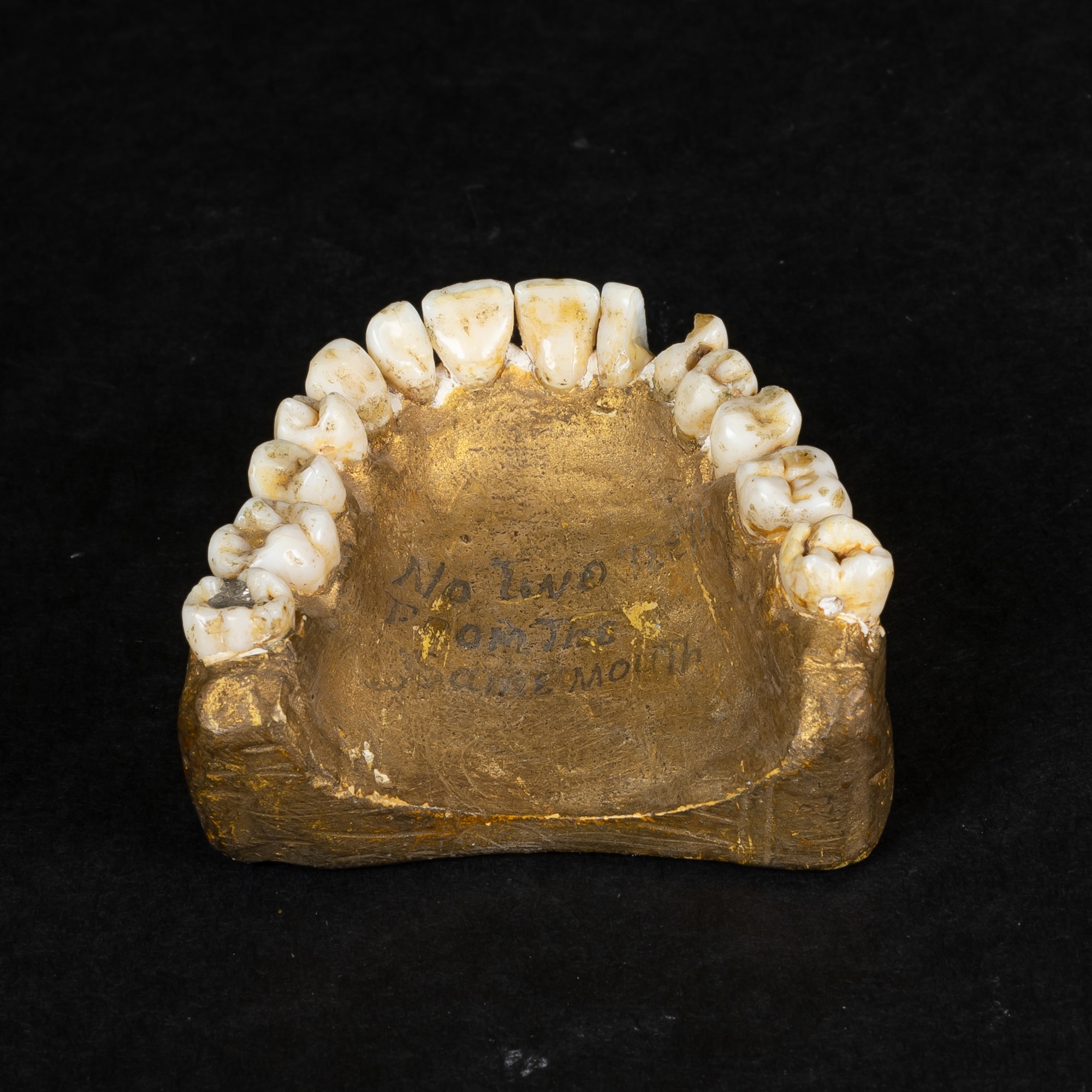 Vintage Cast Dental Teeth Mold Tooth Castings Medical Oddity 13 
