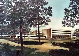 Winn ACH celebrates 40 years of service