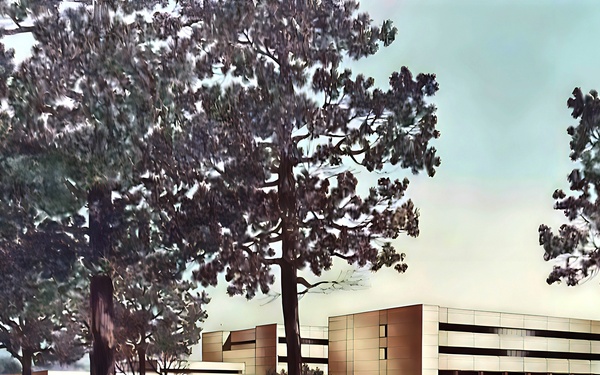 Winn Army Community Hospital celebrates 40 years of service