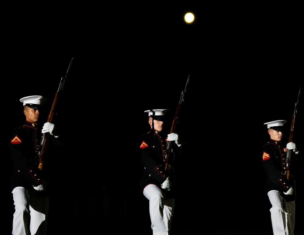 First Night Under the Lights.