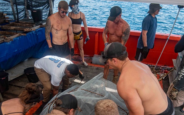 DPAA Diving Deep 23-4PG