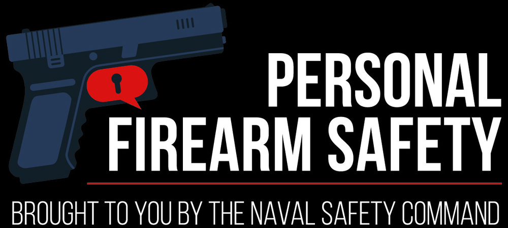 Firearm Safety Graphic-Black