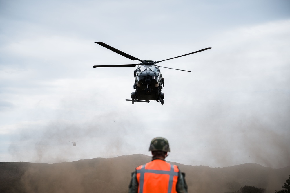 German, Dutch, Norwegian Troops Train with German NH90 Helicopters