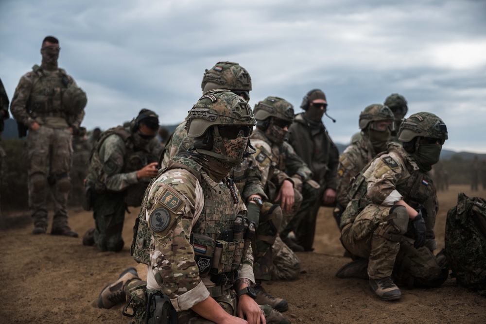 German, Dutch, Norwegian Troops Train with German NH90 Helicopters