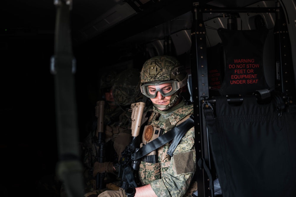 German, Dutch, Norwegian Troops Train with German NH90 Helicopters