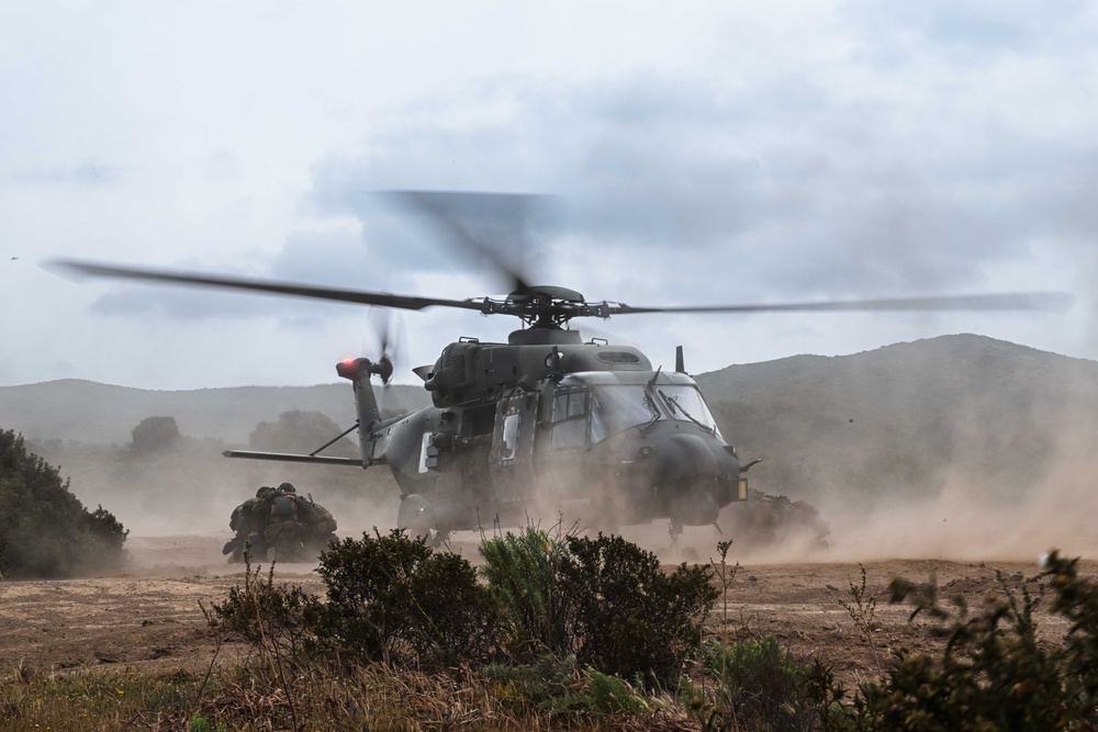 German, Dutch, Norwegian Troops Train with German NH90 Helicopters