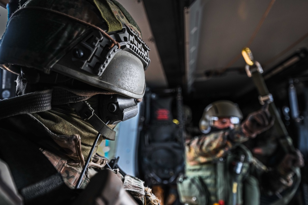 German, Dutch, Norwegian Troops Train with German NH90 Helicopters