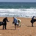 Volunteers from USS Indianapolis (LCS 17) participate in beach clean up