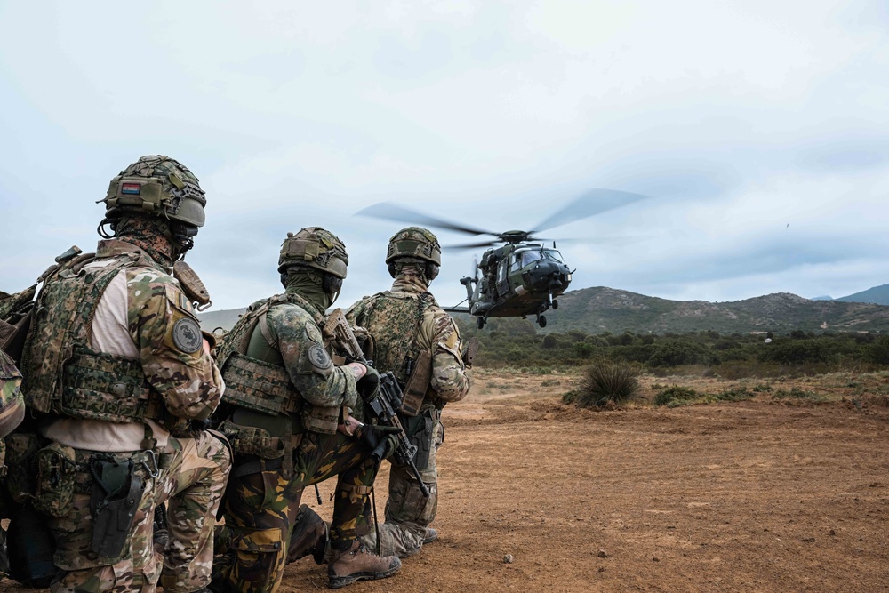 German, Dutch, Norwegian Troops Train with German NH90 Helicopters