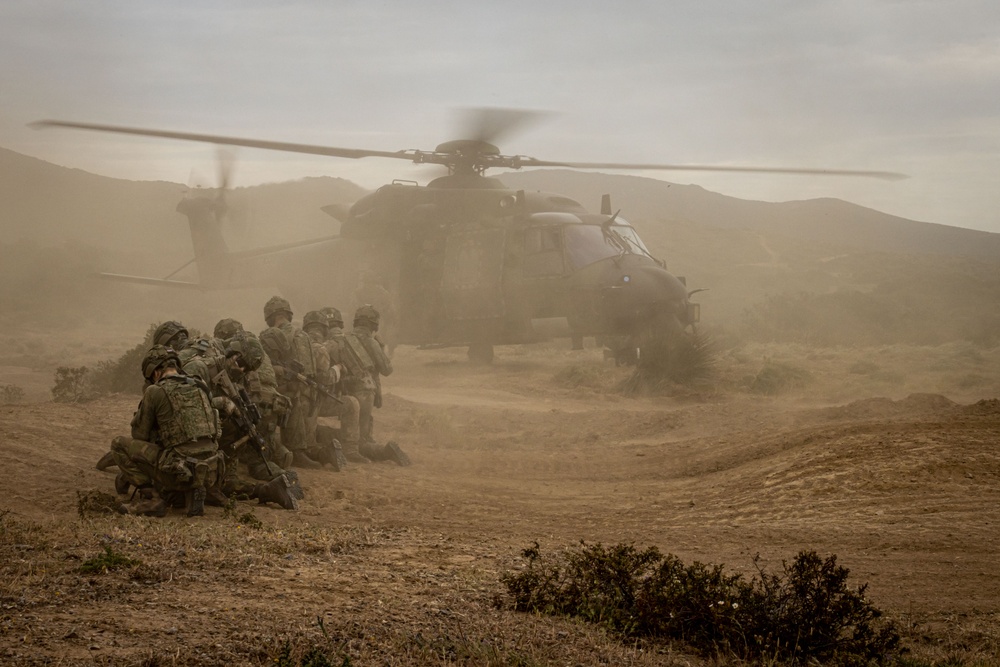 German, Dutch, Norwegian Troops Train with German NH90 Helicopters