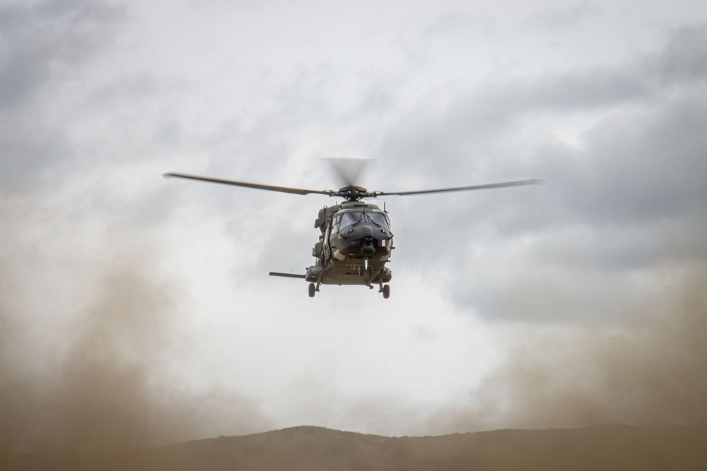 German, Dutch, Norwegian Troops Train with German NH90 Helicopters