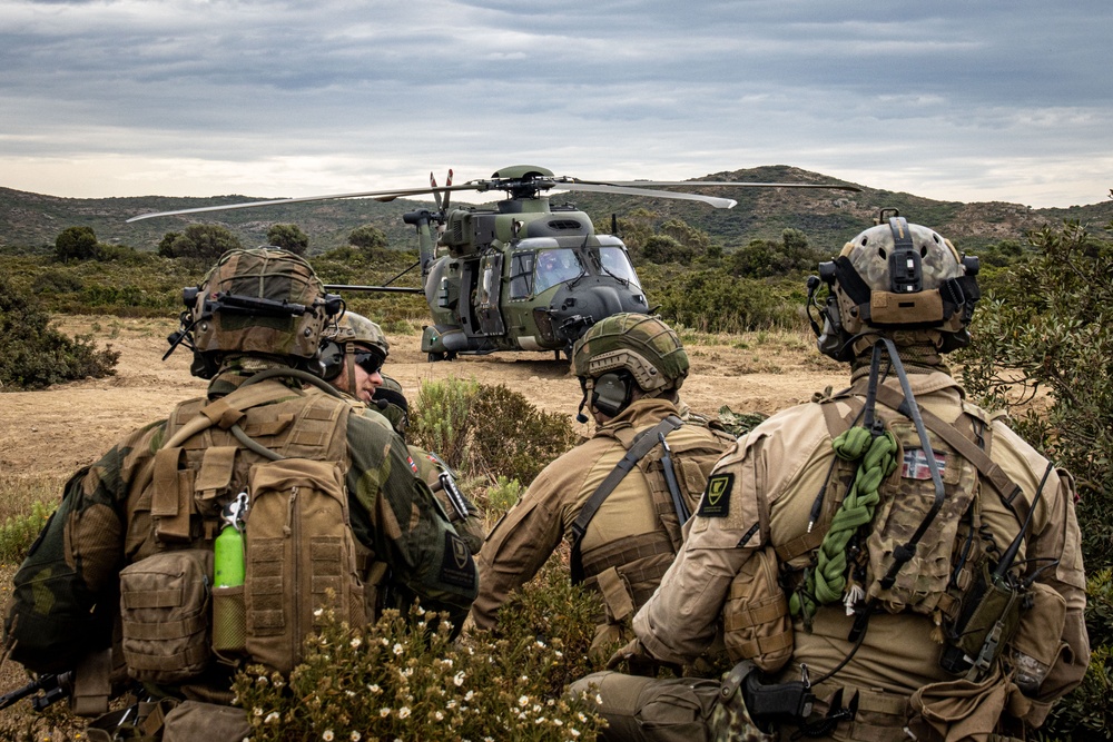 German, Dutch, Norwegian Troops Train with German NH90 Helicopters