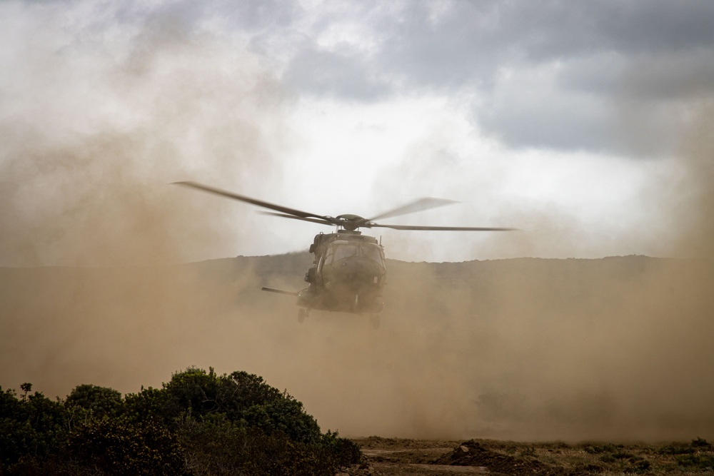 German, Dutch, Norwegian Troops Train with German NH90 Helicopters