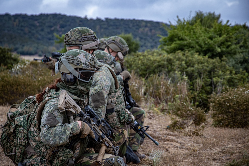 German, Dutch, Norwegian Troops Train with German NH90 Helicopters