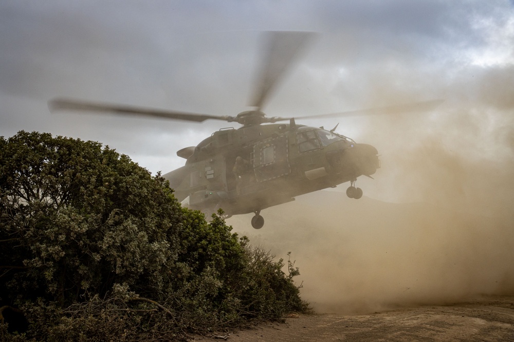 German, Dutch, Norwegian Troops Train with German NH90 Helicopters