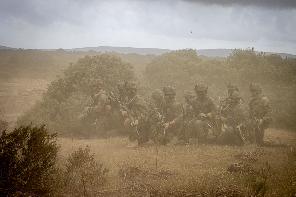 German, Dutch, Norwegian Troops Train with German NH90 Helicopters