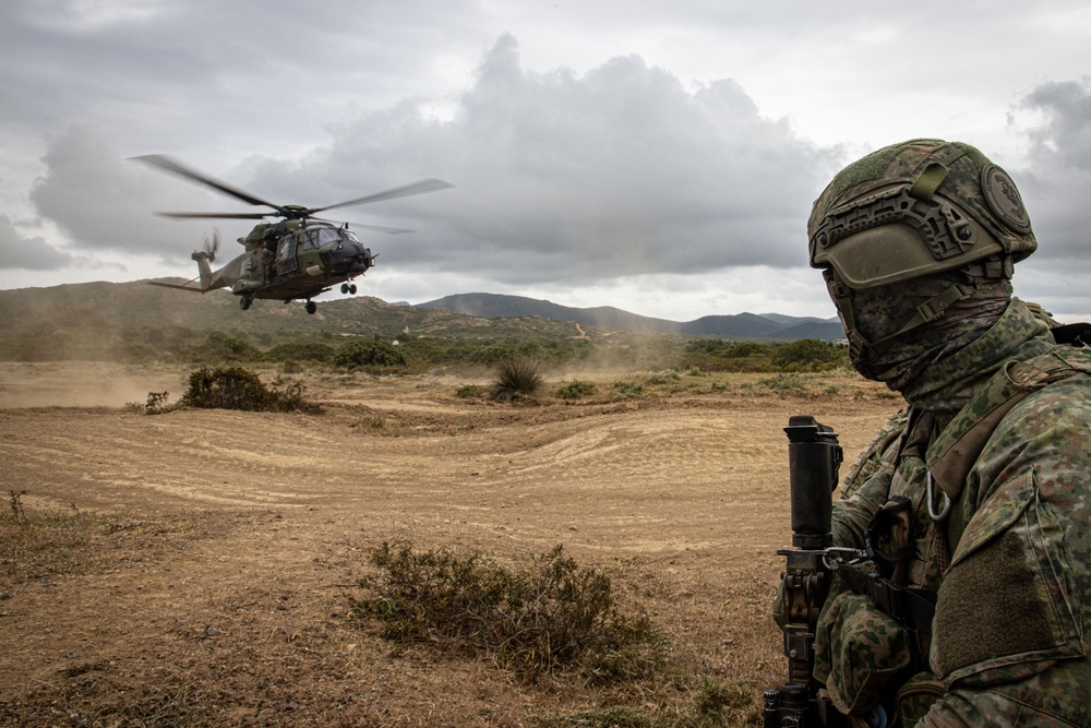 German, Dutch, Norwegian Troops Train with German NH90 Helicopters