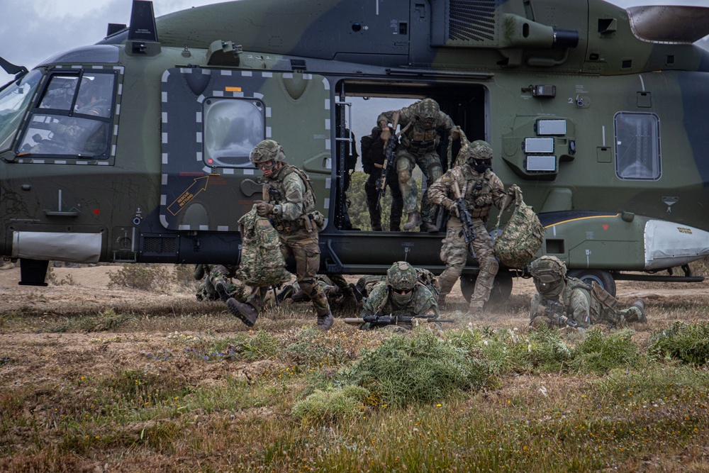 German, Dutch, Norwegian Troops Train with German NH90 Helicopters