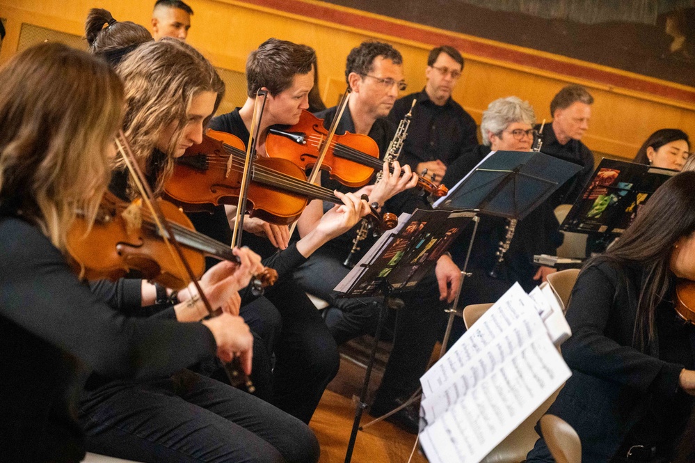 Violins