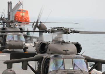 Task Force Mustang UH-60 Blackhawk and AH-64 Apache Flight Crews, land on the USS Lewis B. Puller