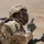 U.S. Army Central Best Squads conduct stress shooting