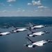 Thunderbirds Fly Over New York