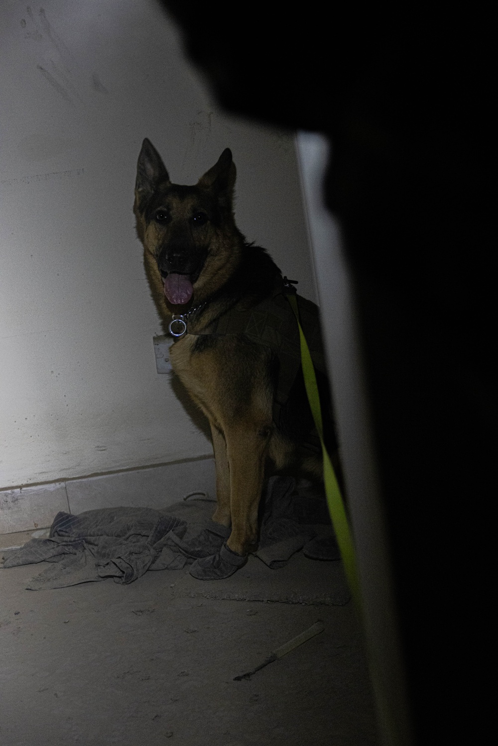 CJTF-OIR K-9 Explosive Training