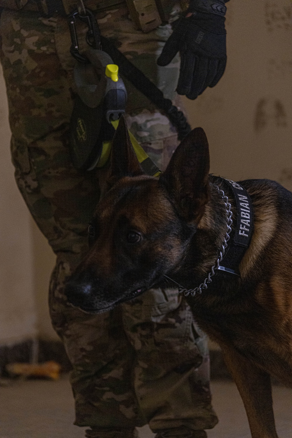 CJTF-OIR K-9 Explosive Training