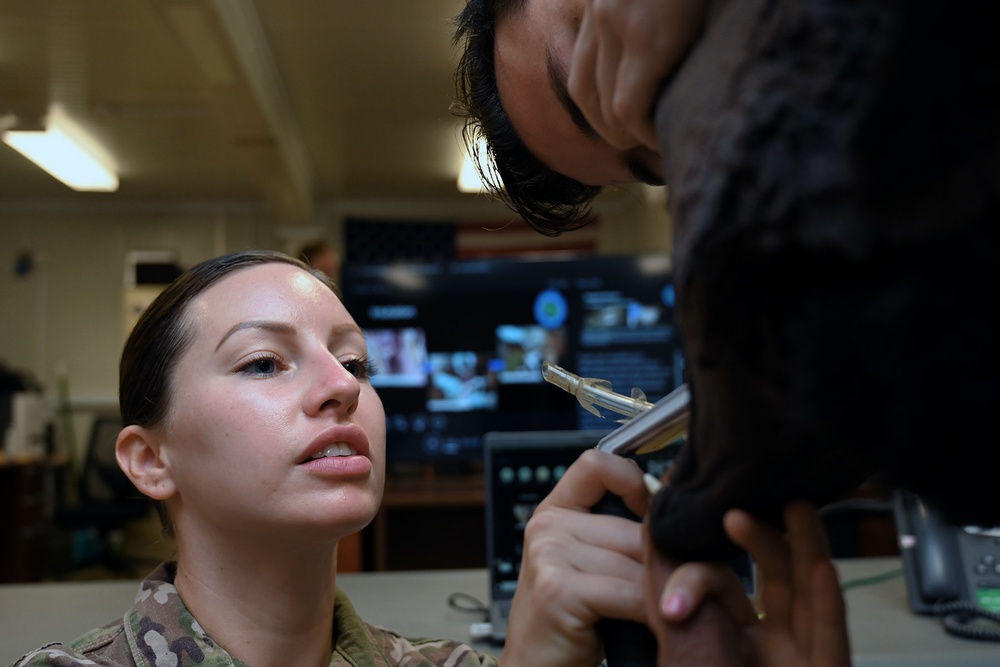 Virtual Tropical Medicine Course Unifies Allied, U.S. medical professionals