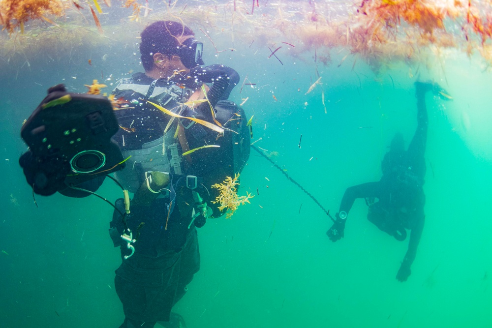 Navy Divers and Navy SEALs Conduct PRODEV Training