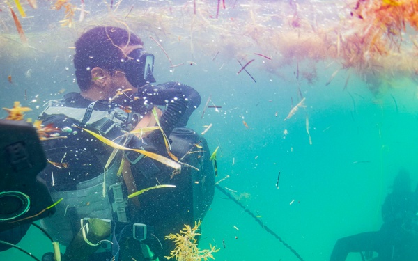 Navy Divers and Navy SEALs Conduct PRODEV Training