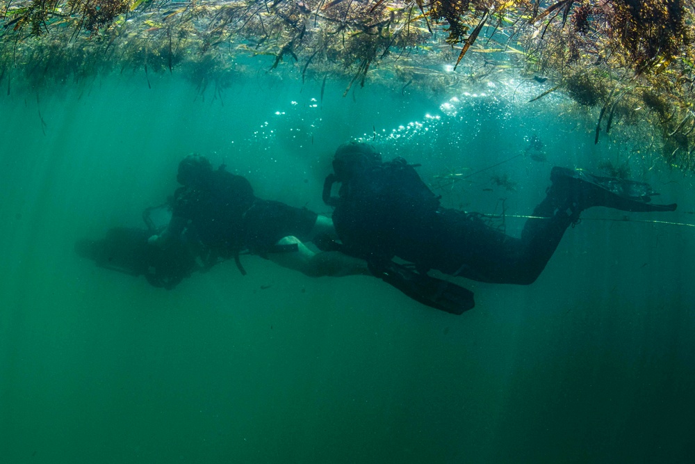 Navy Divers and Navy SEALs Conduct PRODEV Training