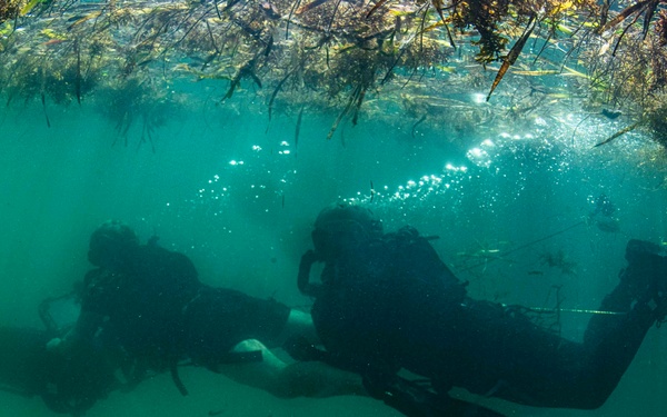 Navy Divers and Navy SEALs Conduct PRODEV Training