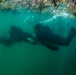 Navy Divers and Navy SEALs Conduct PRODEV Training