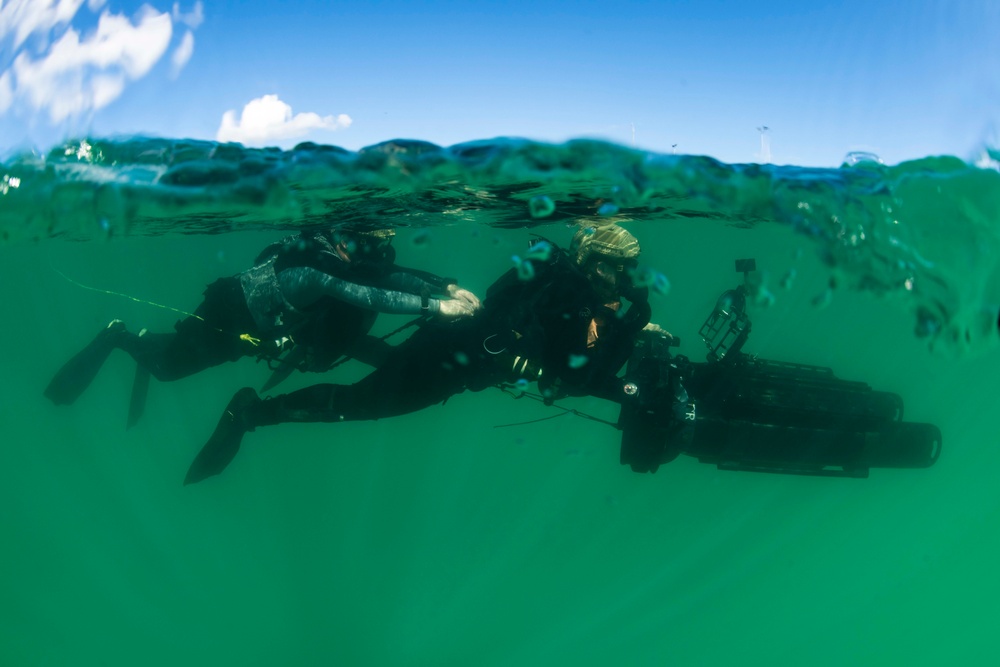 Navy Divers and Navy SEALs Conduct PRODEV Training