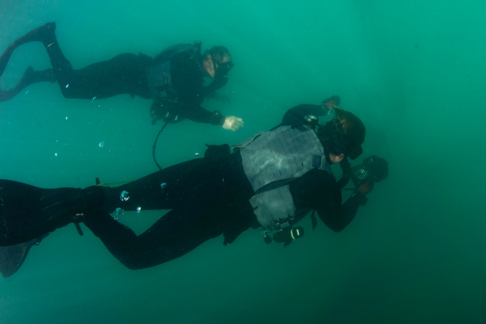 Navy Divers and Navy SEALs Conduct PRODEV Training