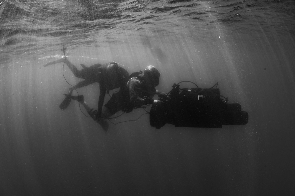 Navy Divers and Navy SEALs Conduct PRODEV Training