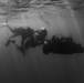 Navy Divers and Navy SEALs Conduct PRODEV Training