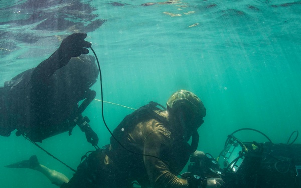Navy Divers and Navy SEALs Conduct PRODEV Training