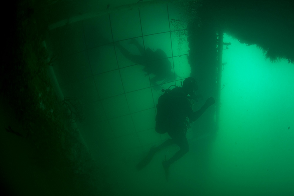 Navy Divers and Navy SEALs Conduct PRODEV Training